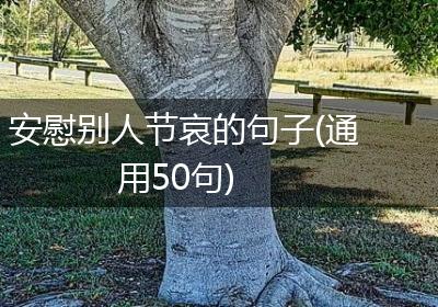 安慰别人节哀的句子(通用50句)