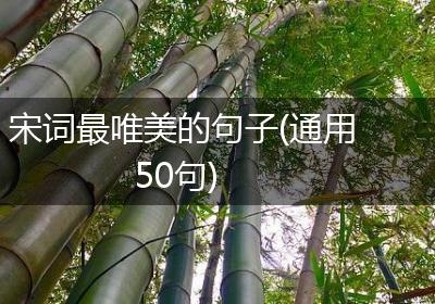 宋词最唯美的句子(通用50句)