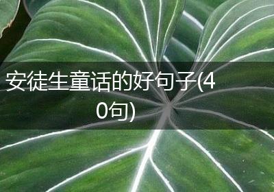 安徒生童话的好句子(40句)