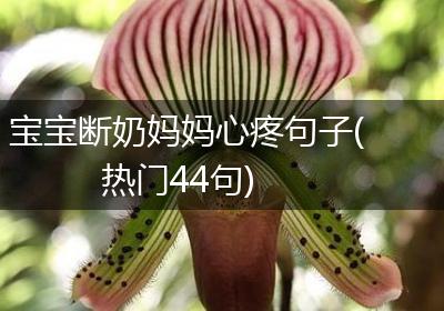 宝宝断奶妈妈心疼句子(热门44句)