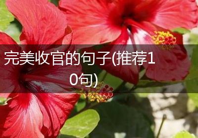 完美收官的句子(推荐10句)