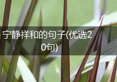 宁静祥和的句子(优选20句)