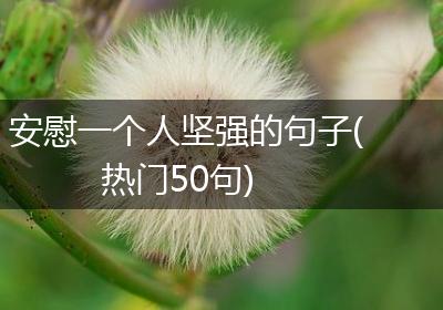 安慰一个人坚强的句子(热门50句)