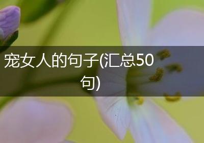 宠女人的句子(汇总50句)