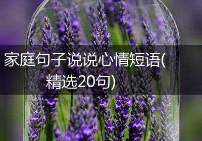 家庭句子说说心情短语(精选20句)
