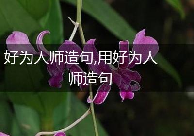 好为人师造句,用好为人师造句