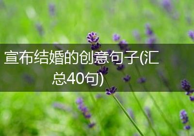 宣布结婚的创意句子(汇总40句)