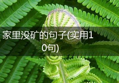 家里没矿的句子(实用10句)