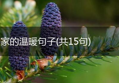家的温暖句子(共15句)