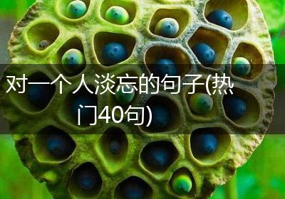 对一个人淡忘的句子(热门40句)