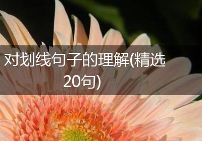 对划线句子的理解(精选20句)