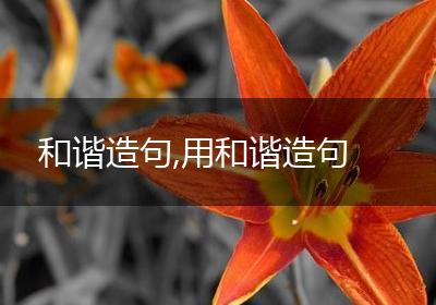 和谐造句,用和谐造句