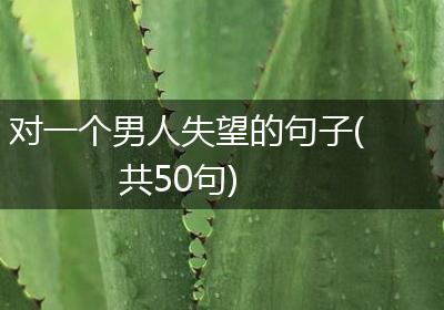 对一个男人失望的句子(共50句)