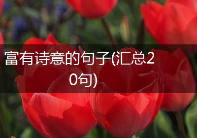 富有诗意的句子(汇总20句)