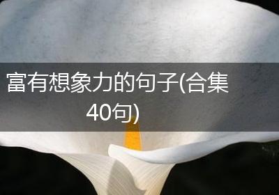 富有想象力的句子(合集40句)