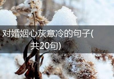 对婚姻心灰意冷的句子(共20句)