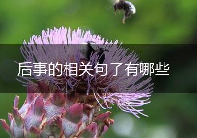 后事的相关句子有哪些