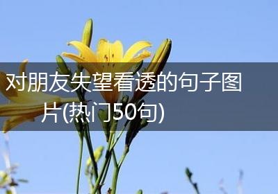 对朋友失望看透的句子图片(热门50句)