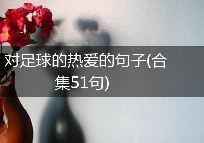 对足球的热爱的句子(合集51句)