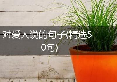 对爱人说的句子(精选50句)