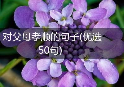 对父母孝顺的句子(优选50句)