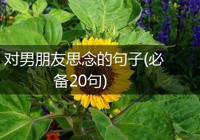 对男朋友思念的句子(必备20句)
