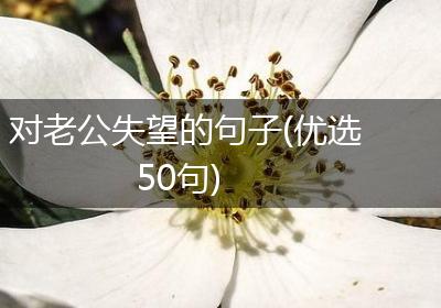 对老公失望的句子(优选50句)