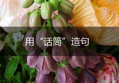 用“话筒”造句