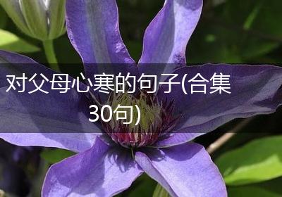对父母心寒的句子(合集30句)