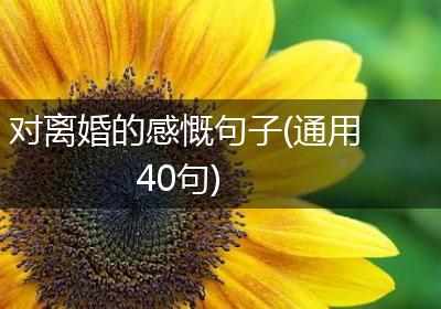 对离婚的感慨句子(通用40句)
