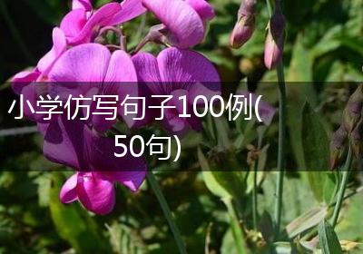 小学仿写句子100例(50句)