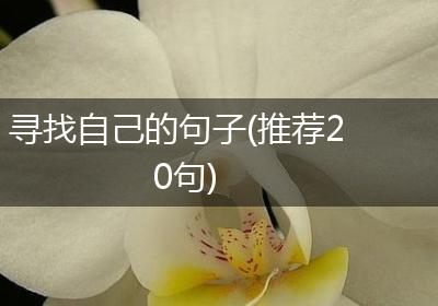 寻找自己的句子(推荐20句)