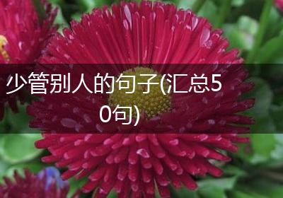 少管别人的句子(汇总50句)