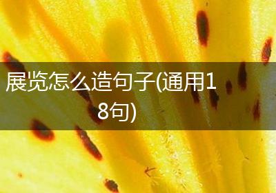 展览怎么造句子(通用18句)