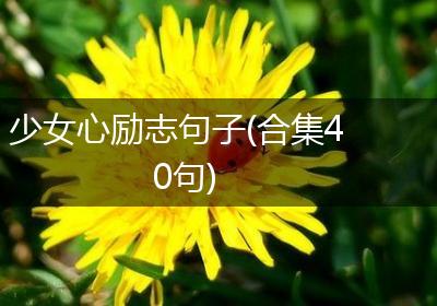 少女心励志句子(合集40句)