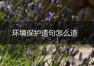 环境保护造句怎么造