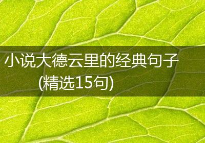 小说大德云里的经典句子(精选15句)