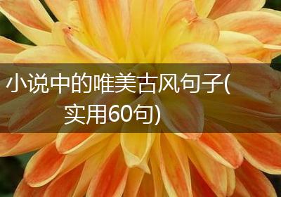 小说中的唯美古风句子(实用60句)