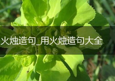 火烛造句_用火烛造句大全