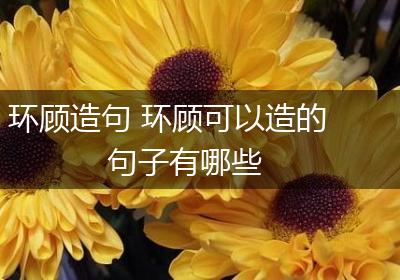 环顾造句 环顾可以造的句子有哪些