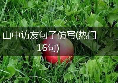 山中访友句子仿写(热门16句)