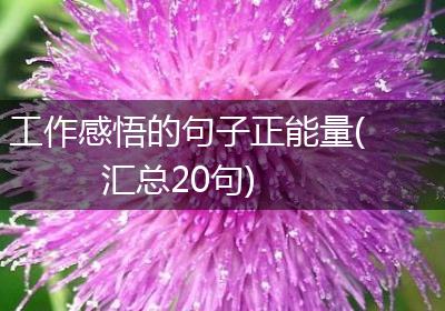 工作感悟的句子正能量(汇总20句)