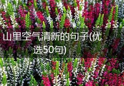 山里空气清新的句子(优选50句)