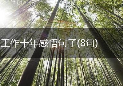 工作十年感悟句子(8句)