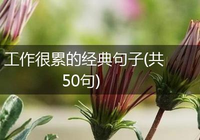 工作很累的经典句子(共50句)