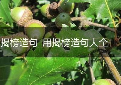 揭榜造句_用揭榜造句大全