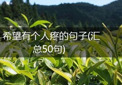 希望有个人疼的句子(汇总50句)