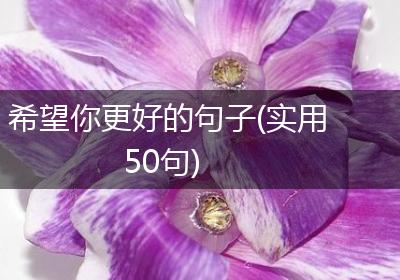 希望你更好的句子(实用50句)