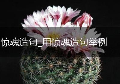 惊魂造句_用惊魂造句举例