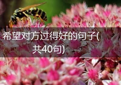 希望对方过得好的句子(共40句)